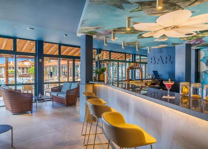 Sentido Galosol 카니코