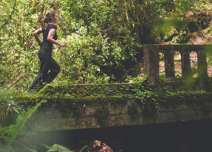 Sentido Galosol 카니코